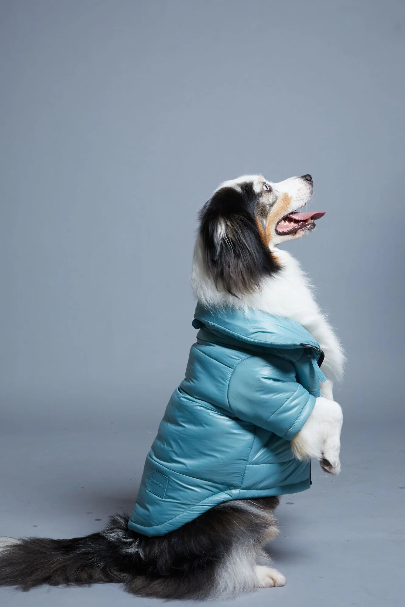 Glossy Puffer Jacket