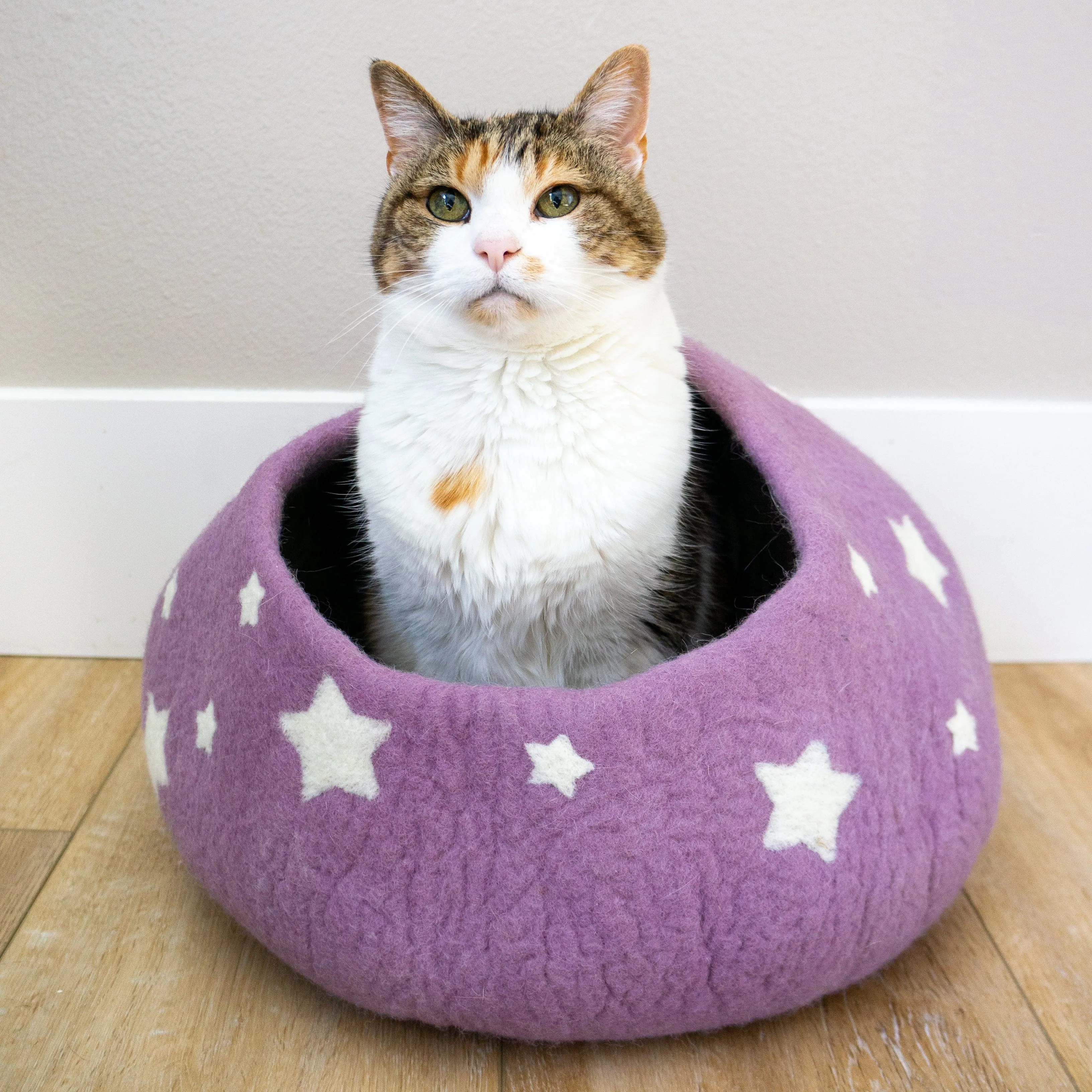 Lavender Midnight Stars Eco Kitty Cave